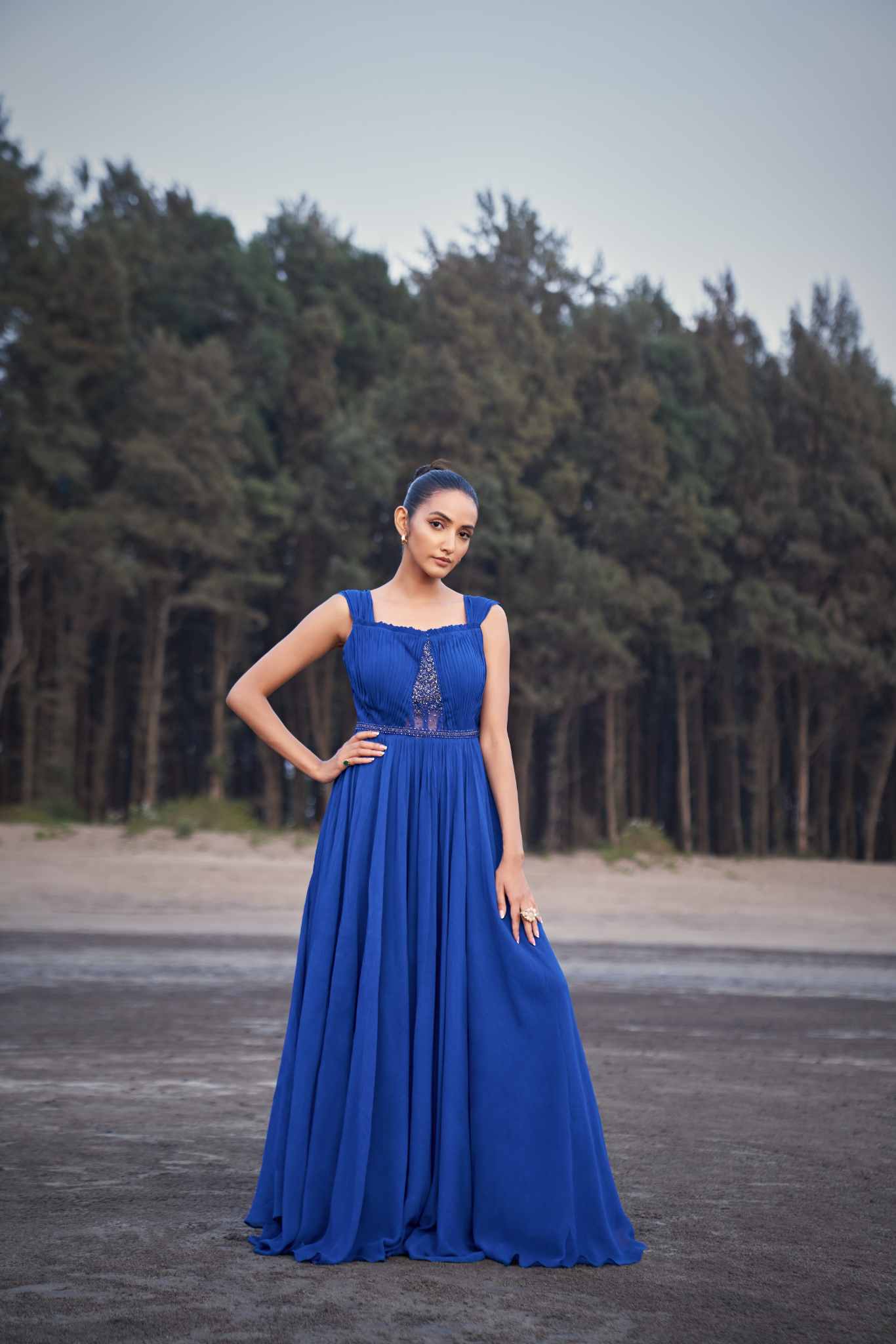 Royal Sapphire Draped Gown