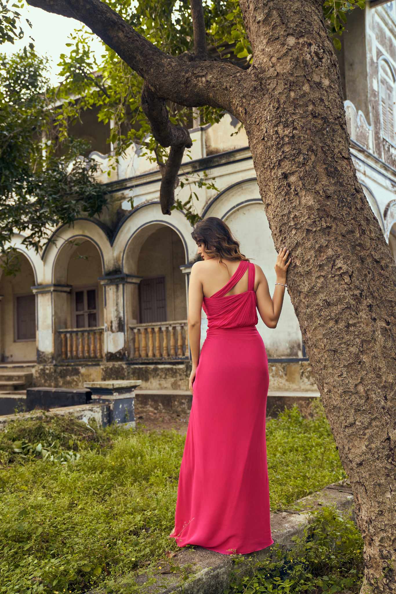 Fuchsia Flame